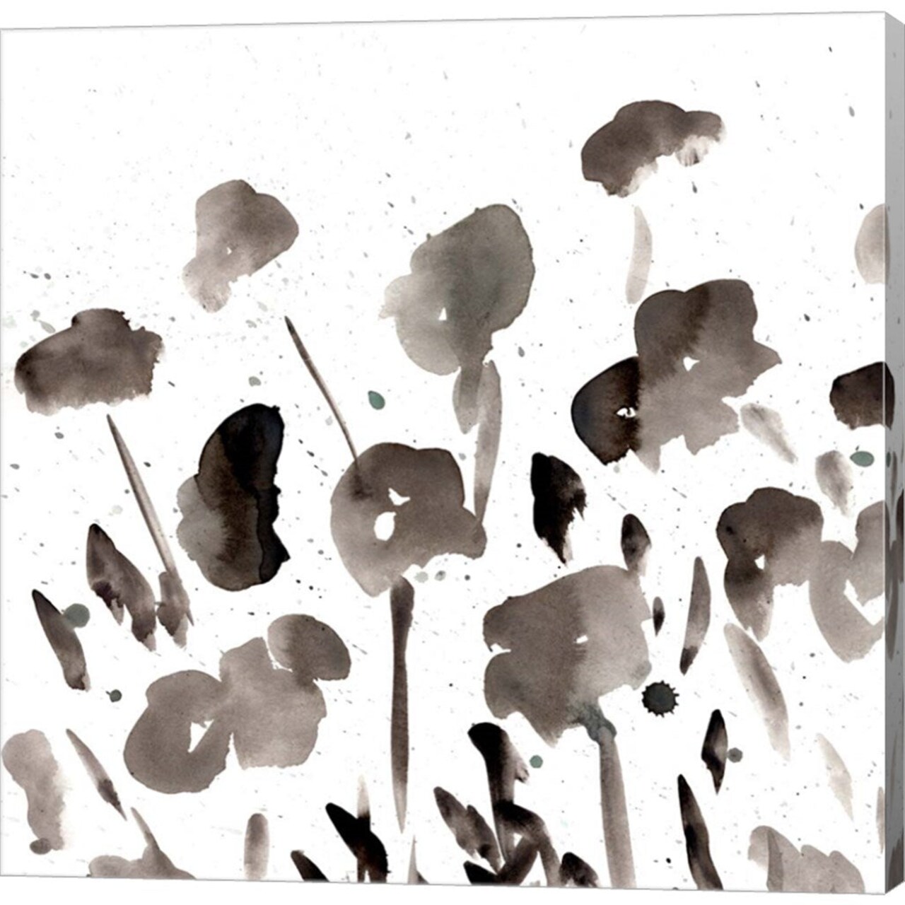 Simple Black Poppies I by Marcy Chapman - 24x24 Canvas Art Print